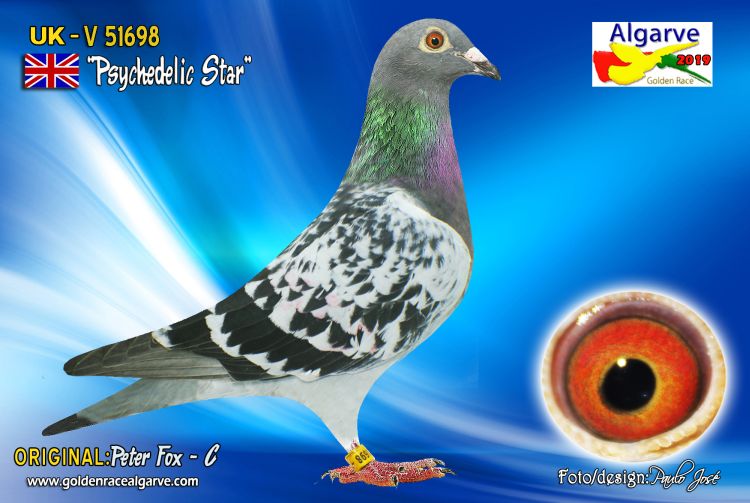 Pigeon in Flight Collectible Figure by Jeff Staple